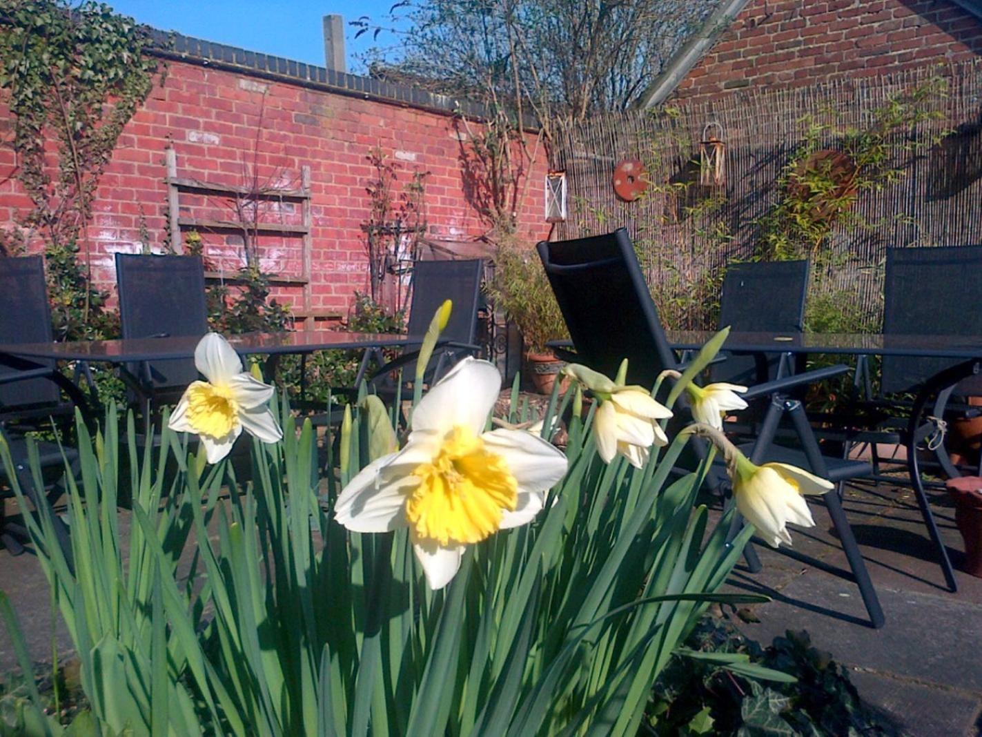 Bed and Breakfast La Fosse At Cranborne Exterior foto