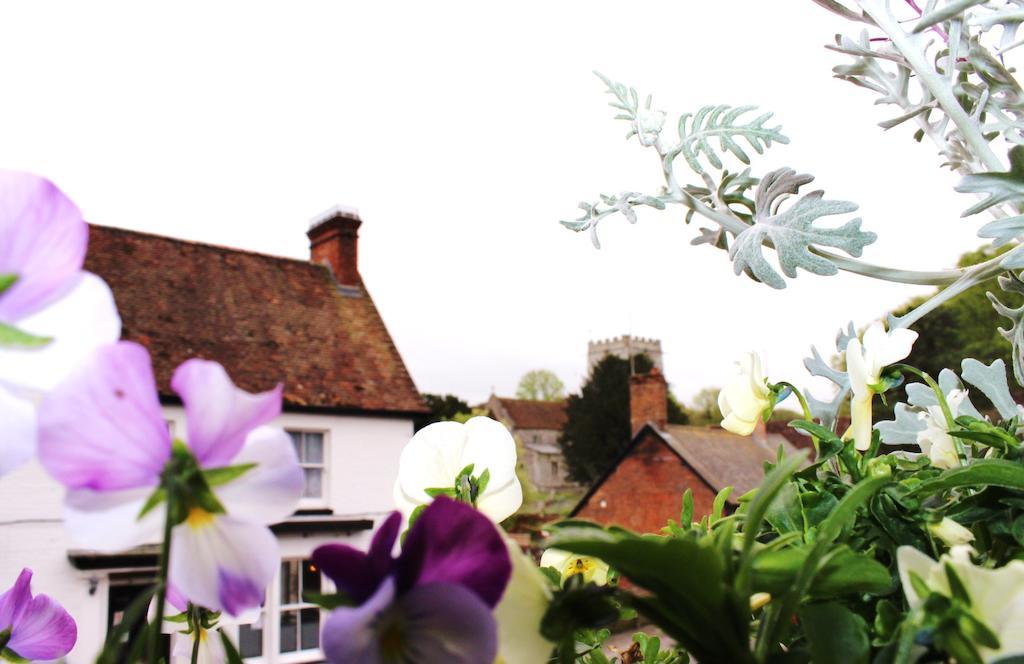 Bed and Breakfast La Fosse At Cranborne Exterior foto