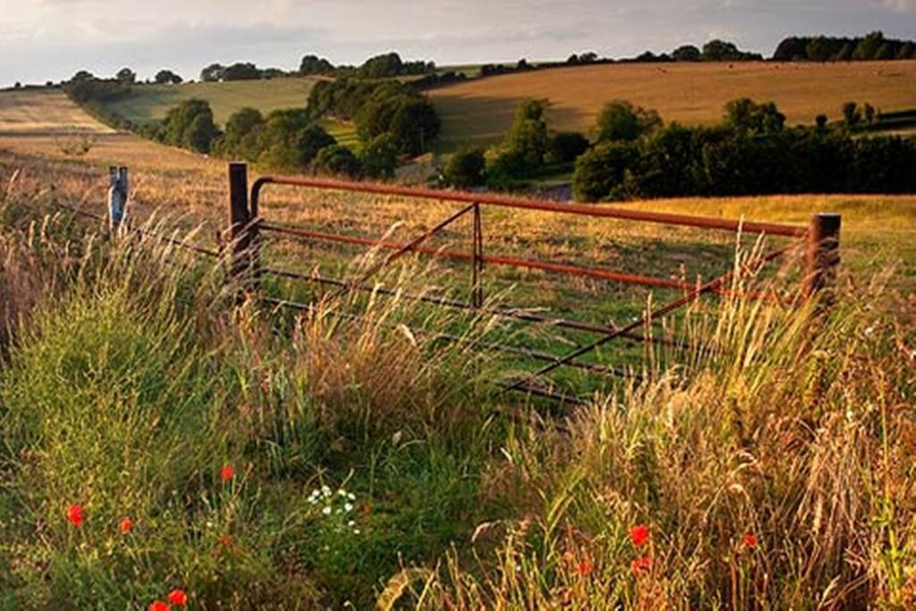 Bed and Breakfast La Fosse At Cranborne Exterior foto